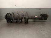 Amortiguador delantero con muelle espiral