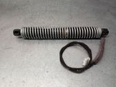 Tailgate/trunk strut/damper
