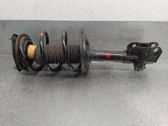 Amortiguador delantero con muelle espiral
