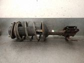 Amortiguador delantero con muelle espiral