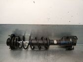 Amortiguador delantero con muelle espiral