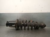 Rear shock absorber/damper