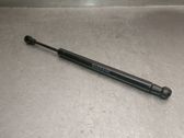 Tailgate/trunk strut/damper