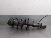 Front shock absorber with coil spring