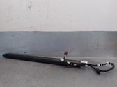 Tailgate/trunk strut/damper