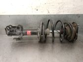 Front shock absorber with coil spring