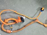 Engine installation wiring loom