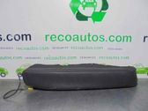 Rear door airbag