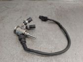 Inyector de combustible