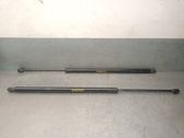 Tailgate/trunk strut/damper