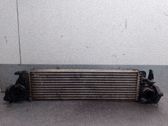 Radiador intercooler