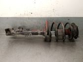 Front shock absorber with coil spring