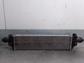 Radiador intercooler