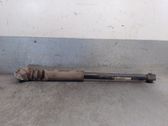 Rear shock absorber/damper