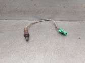 Sonde lambda