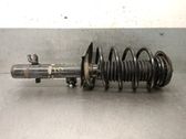 Amortiguador delantero con muelle espiral