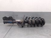 Amortiguador delantero con muelle espiral