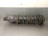 Rear shock absorber/damper