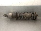 Rear shock absorber/damper