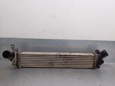 Intercooler radiator