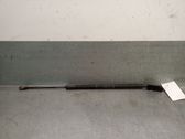 Tailgate/trunk strut/damper