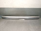 Dashboard trim