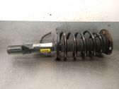 Amortiguador delantero con muelle espiral