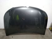 Engine bonnet/hood