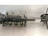 Front shock absorber with coil spring
