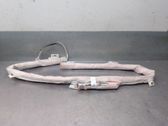 Front door airbag