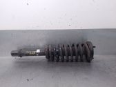 Front shock absorber with coil spring
