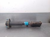 Front shock absorber with coil spring