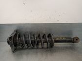 Rear shock absorber/damper