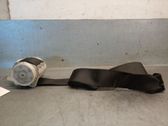 Rear seatbelt