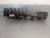 Front shock absorber with coil spring