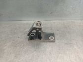 Tailgate/trunk/boot hinge