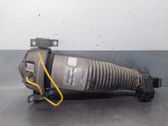 Stoßdämpfer hinten