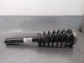 Amortiguador delantero con muelle espiral