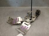 Tailgate/trunk/boot hinge
