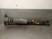 Stoßdämpfer hinten