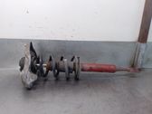 Amortiguador delantero con muelle espiral