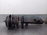 Amortiguador delantero con muelle espiral