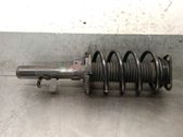 Front shock absorber with coil spring