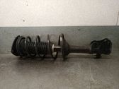 Amortiguador delantero con muelle espiral