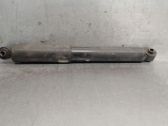 Rear shock absorber/damper