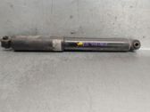 Rear shock absorber/damper