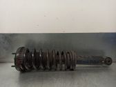 Rear shock absorber/damper