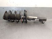 Front shock absorber with coil spring