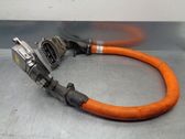 Engine installation wiring loom