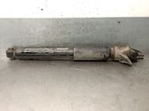 Stoßdämpfer hinten